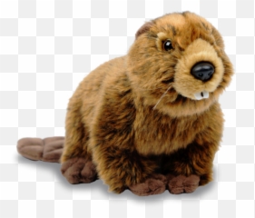 Download Beaver Hd Hq Png Image In Different Resolution - North American Beaver Png Emoji,Beaver Emoji