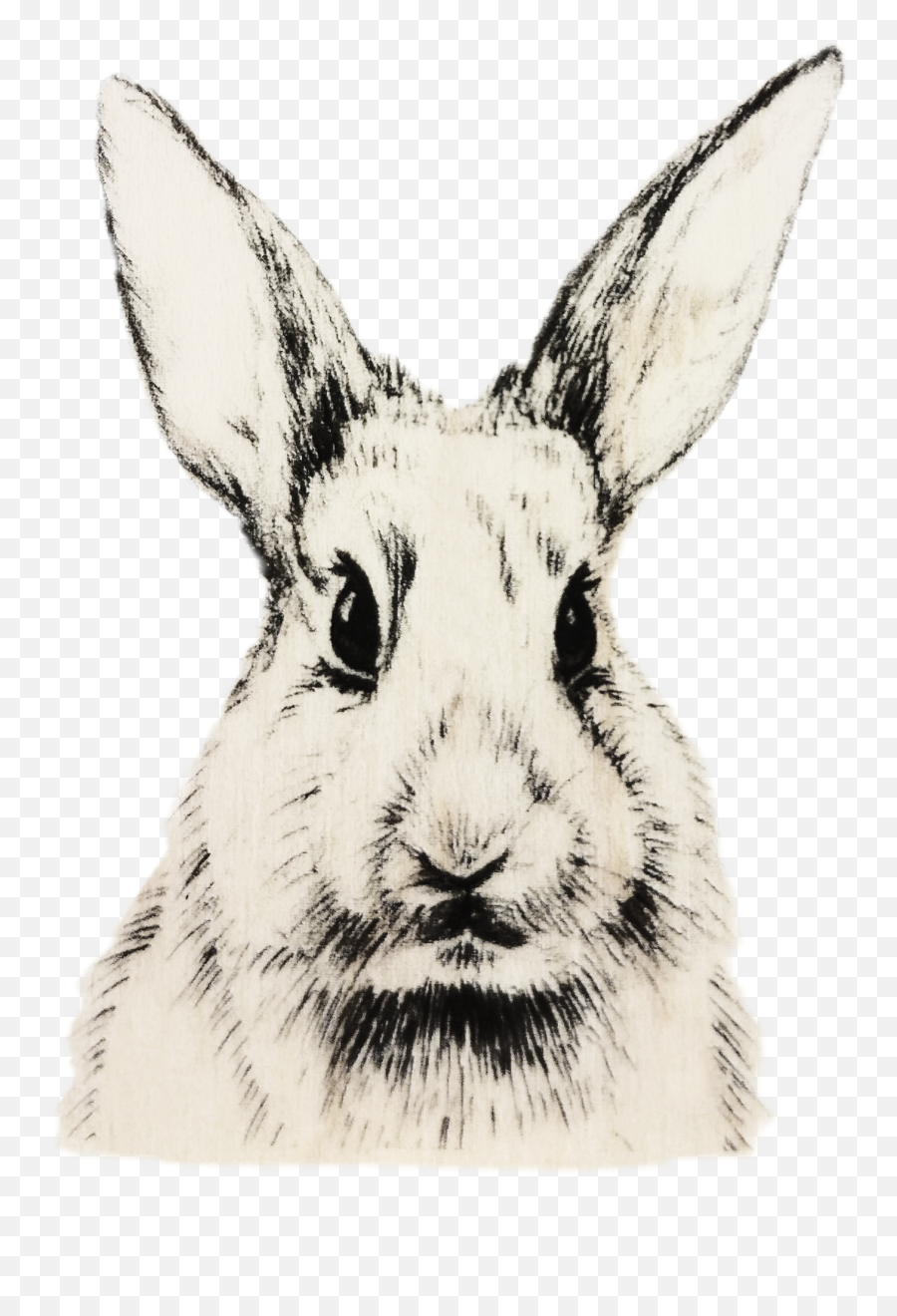 Ftebunnies Rabbit Bunny Ears Blackline - Domestic Rabbit Emoji,Bunny Ears Emoji