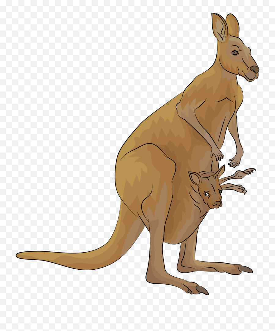 Kangaroo Clipart - Australian Animals Png Emoji,Kangaroo Emoji