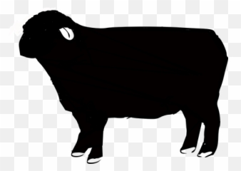 Sheep Farm Sheep Illustrations - Black Sheep Clip Art Emoji,Ewe Emoji