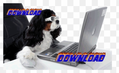 Dogdings - Animated Using Computer Gif Emoji