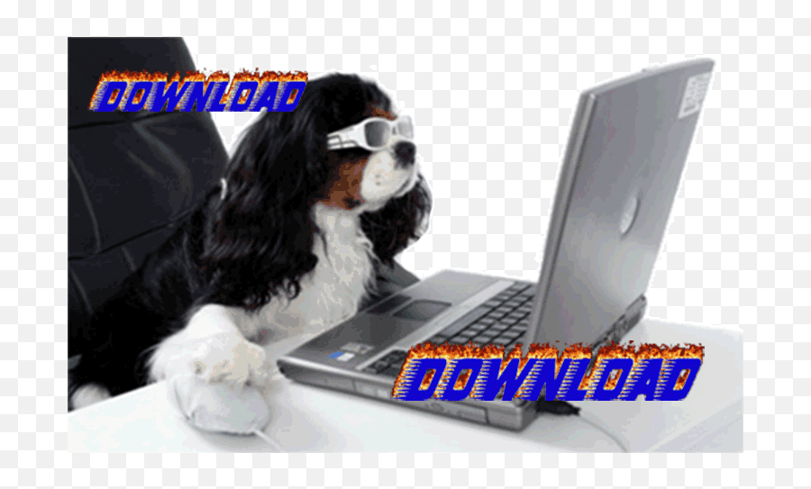 Dogdings - Animated Dog Using Computer Gif Emoji,Dog Emoji Keyboard