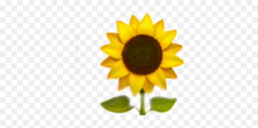 Sunflower Emoji Yellow Sticker - Horizontal,Sunflower Emoji