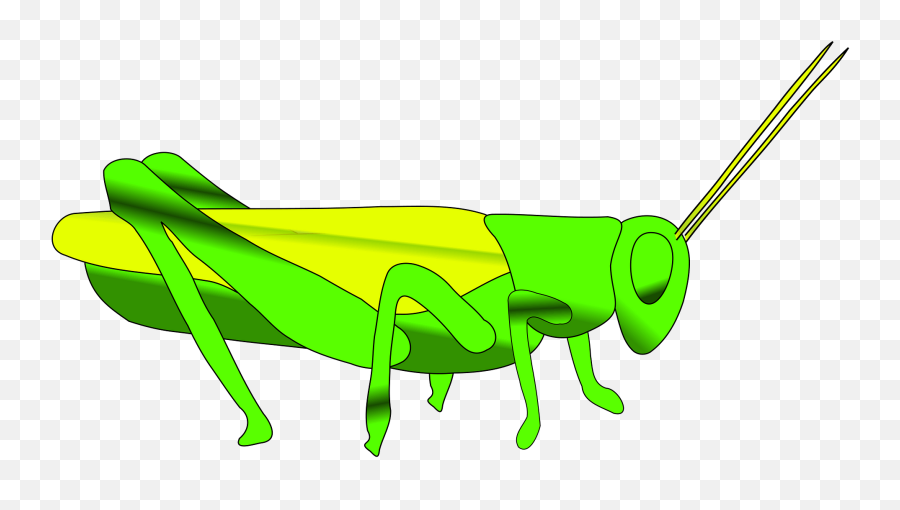 Grasshopper Clipart - Grasshopperclip Art Emoji,Grasshopper Emoji