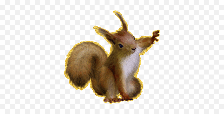 Red Squirrel Stickers For Android Ios - Squirrel Gif Transparent Emoji,Squirrel Emoticon
