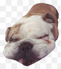 Snooze - Drawing Emoji,Snoozing Emoji - free transparent emoji ...