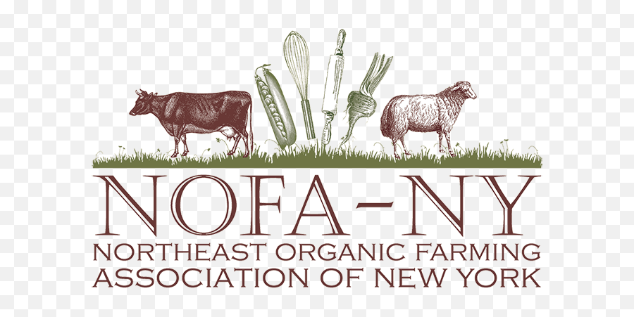 Nofa - Nofa Ny Emoji,Goat Soup Emoji