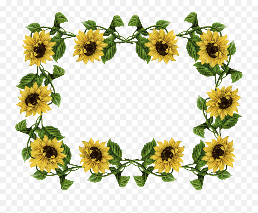 Sunflower Pics Frame - Sunflower Border Clip Art Emoji,Emoji Borders App