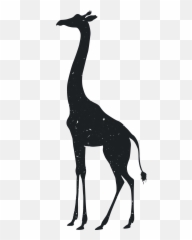 Giraffe Tiger Silhouette Animal Drawing - Animal Silhouettes Silhouette Png Giraffe Emoji,Giraffe Emoji