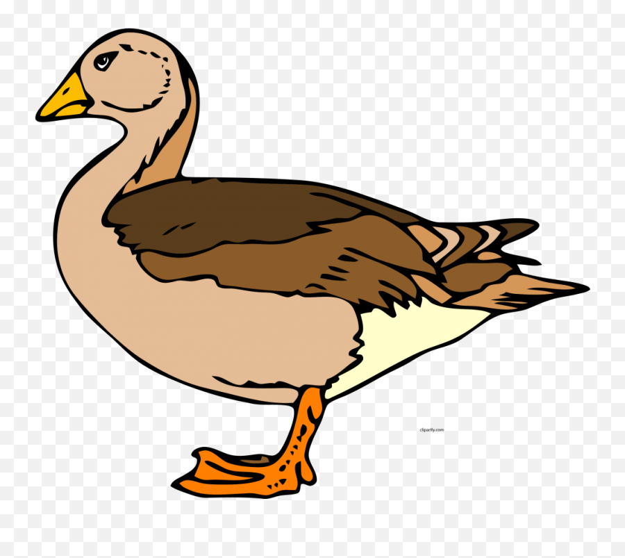 Duck Clipart Duck Design Png U2013 Clipartlycom - Female Duck Clipart Emoji,Duck Emoticon