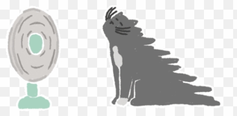 Top Harbin Hot Springs Stickers For - Cat Summer Gif Emoji