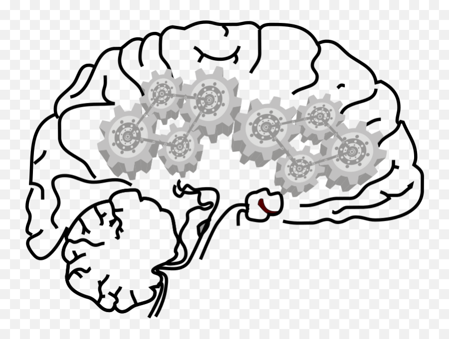 Thinking Clipart Brain Thinking Brain Transparent Free For - Neuron Nerves Clipart Emoji,Drawn Thinking Emoji