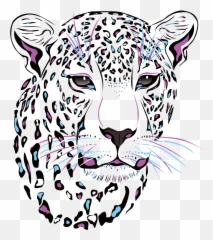 Mq White Tigers Tiger Animal - Cheetah Clipart Black And White Emoji,White Tiger Emoji