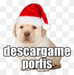 Stickers Del Perrito Triste Para Whatsapp Alternative - Labrador Retriever Emoji,Memoji For Android