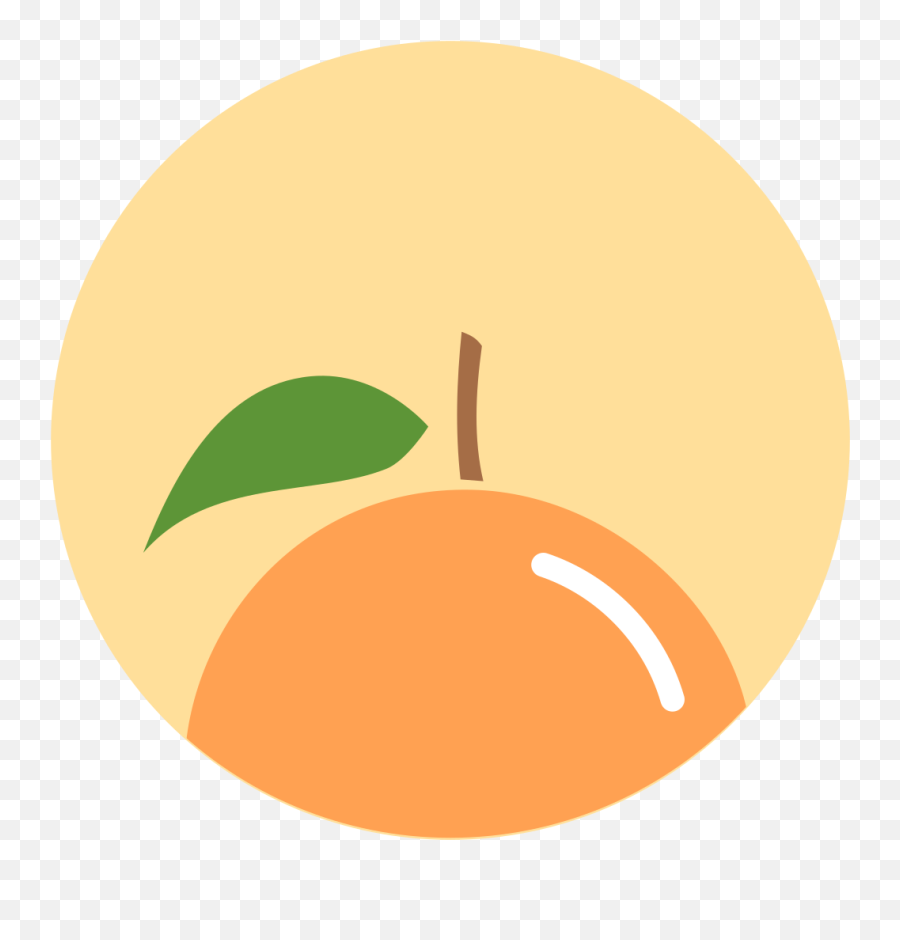Orange Icon Minimal Fruit Iconset Alex T - Parque Natural Do Sudoeste Alentejano E Costa Vicentina Emoji,Orange Fruit Emoji