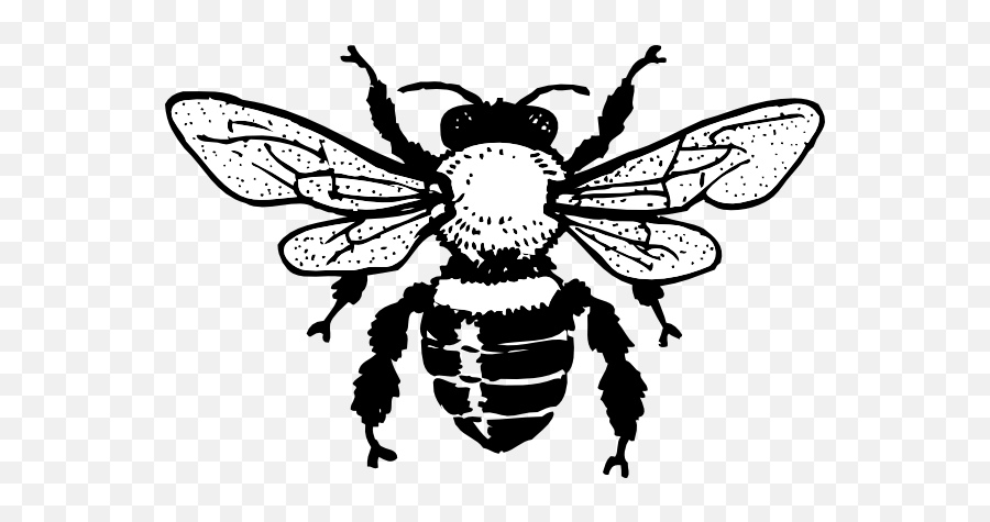 The Best Bee Line Drawing Transparent Pics - Bee Clip Art Emoji,Bumblebee Emoji