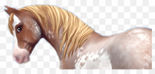 Freetoeditssoponyssohorsessochincoteagu - Sso Chincoteague Pony Emoji,Horse Muscle Emoji