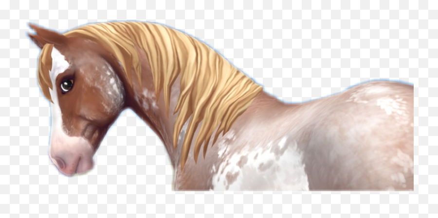Freetoeditssoponyssohorsessochincoteagu - Sso Chincoteague Pony Emoji,Horse Muscle Emoji