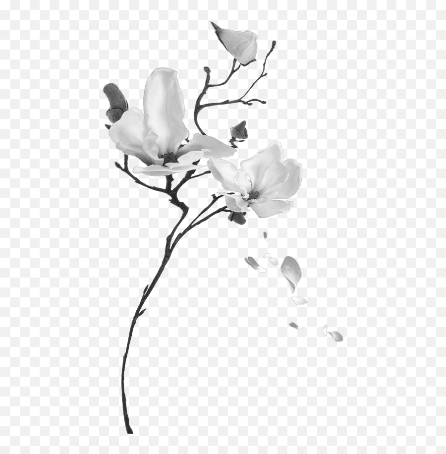 Flower Flowers Sad Floral Wilting Dead Heartbreak Black - Lily Emoji,Wilted Flower Emoji