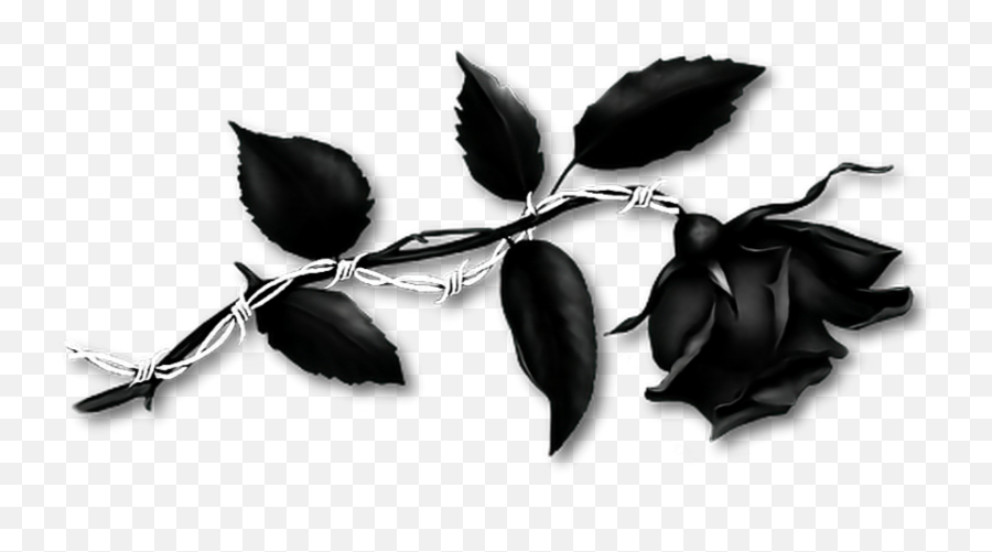 Black Rose Barbedwire - Mãe Perde Um Filho Todas Emoji,Black Rose Emoji