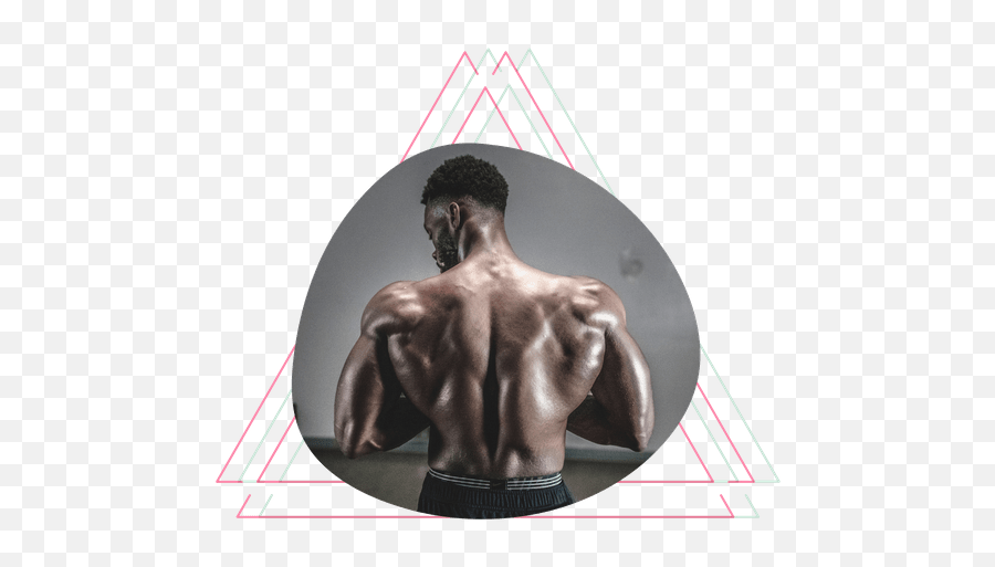 Werstupid - The Most Research Based Health U0026 Fitness Website Wide Upper Back Emoji,Bodybuilder Emoticon