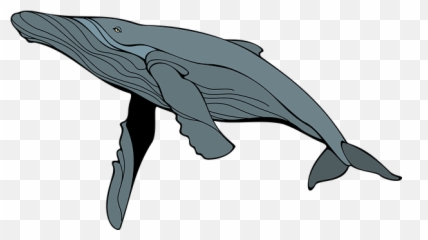 Free Whale Fish Illustrations - Humpback Clipart Emoji