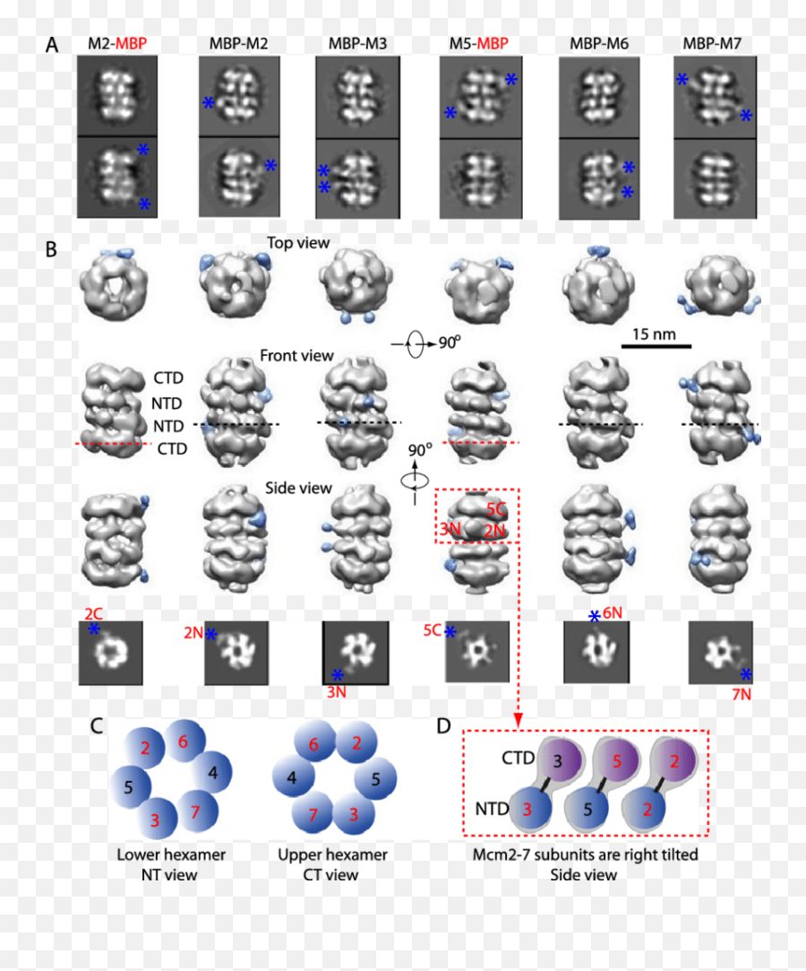 Six Mbp - Screenshot Emoji,N Emoticon