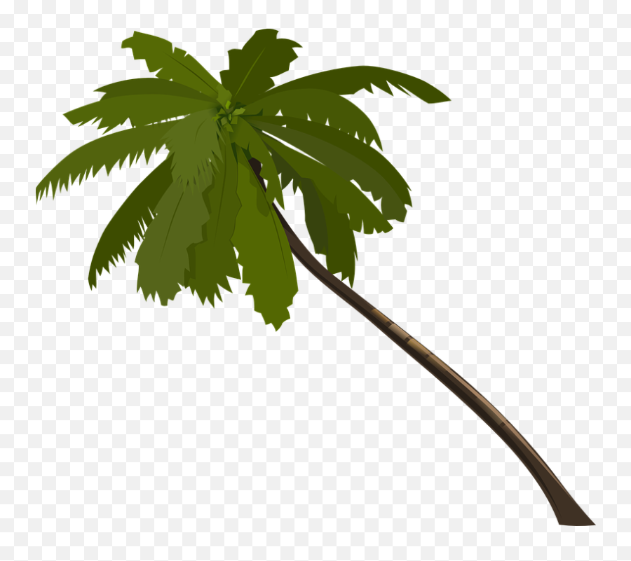 Palm Tree Fronds - Jungle Trees Clip Art Emoji,Palm Tree Book Emoji