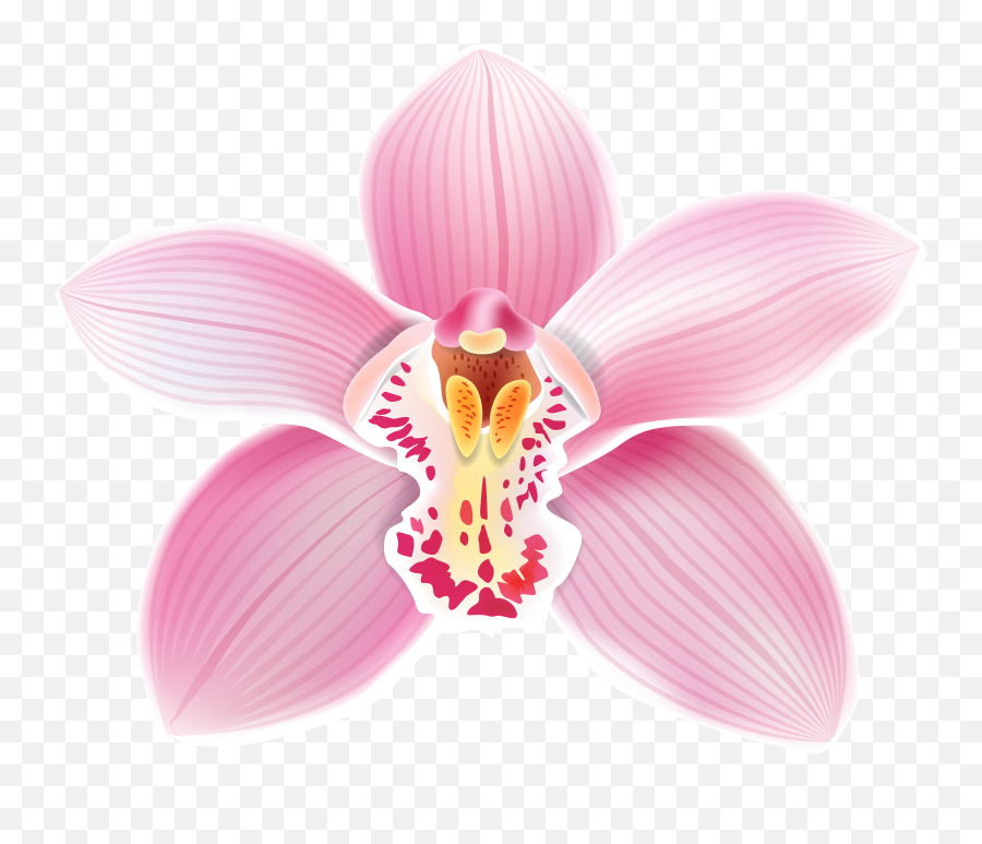 Free Pink Orchid Cliparts Download - Orchids Png Emoji,Orchid Emoji