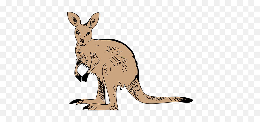 Free Kangaroo Australia Vectors - Kangaroo Clip Art Emoji,Kangaroo Emoji