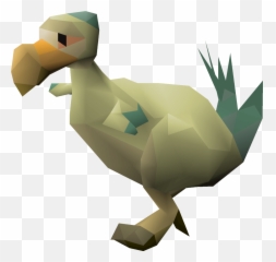 Overgrown Cat Osrs - Flightless Bird Emoji,Runelite Emojis