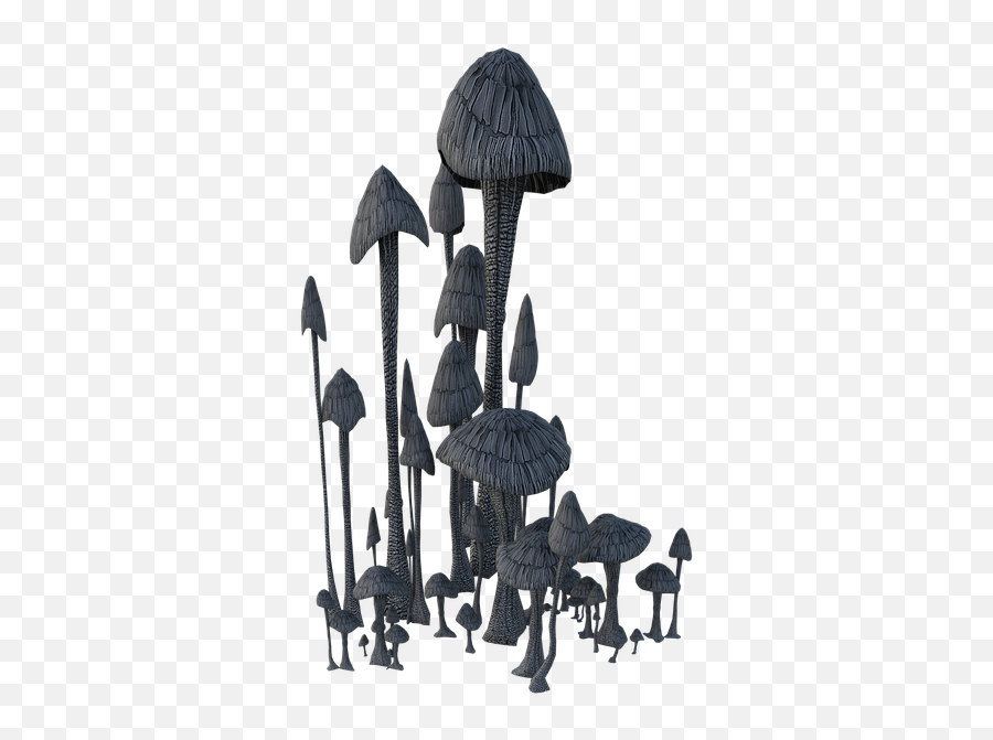 Mushrooms Fungi Nature - Illustration Emoji,Lacrosse Stick Emoticon