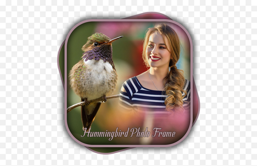 Hummingbird Photo Ediror U2013 Google Playu0027 - Image Editing Emoji,Hummingbird Emoji