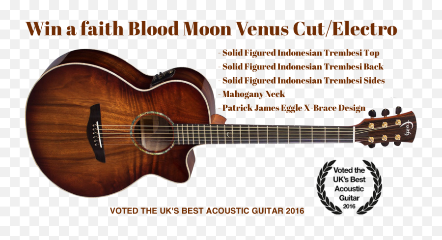 Blood Moon Venus Guitar Worth - Guitar Emoji,Acoustic Guitar Emoji