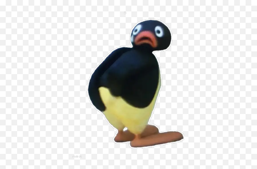 Pingu 2 Stickers For Whatsapp - Atlantic Puffin Emoji,Puffin Emoji