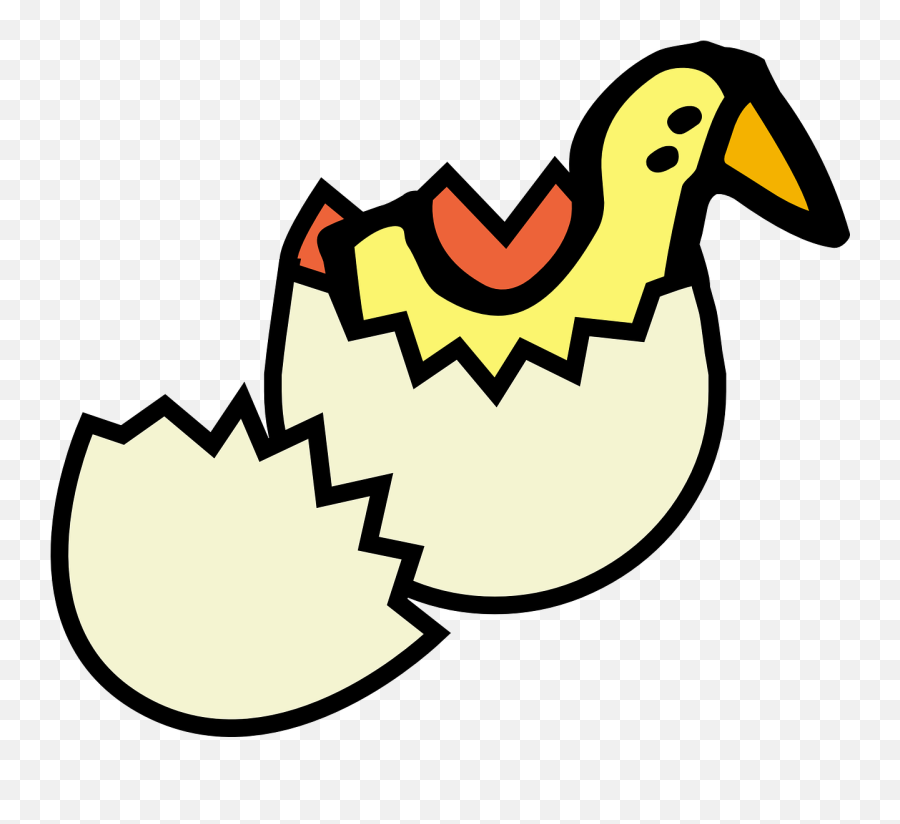 Hatchingducklingyellowbirdbaby - Free Image From Needpixcom Egg Shell Clipart Png Emoji,Chicken Hatching Emoji