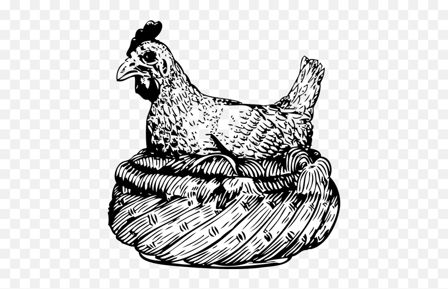 Vector Illustration Of Chicken In A - Hen In The Basket Clipart Black And White Emoji,Old Man Chicken Leg Emoji