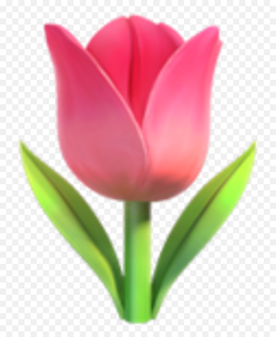Iphone - Tulip Emoji,Plant Emoji