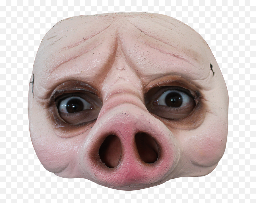 Evil Pig Face Png Picture - Half Mask Pig Emoji,Pig Face Emoticon