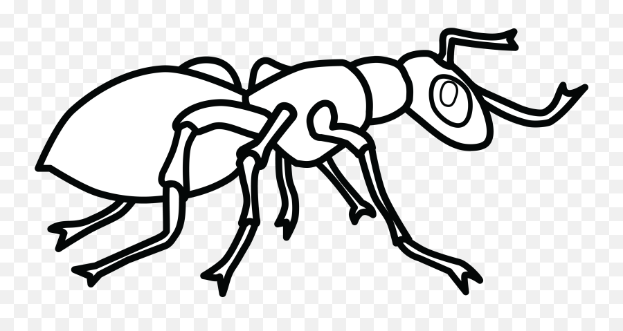 Ant Clipart Png Black And White - Ant Clipart Black And White Emoji,Ant Emoji