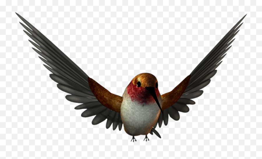 Bird Psd Official Psds - High Resolution Animal Png Emoji,Hummingbird Emoji