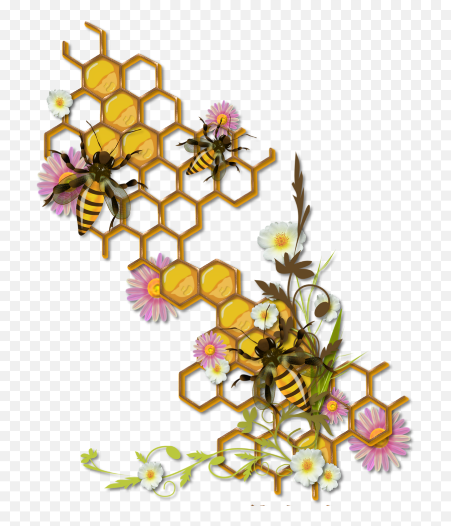 Beesbearshoney - Bee And Honeycomb Clipart Full Size Honeycomb With Bees Drawing Emoji,Honey Bee Emoji