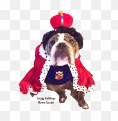 Valentino Rossi Bulldog Archives - Boston Terrier Emoji,Pug Emoji Copy And Paste
