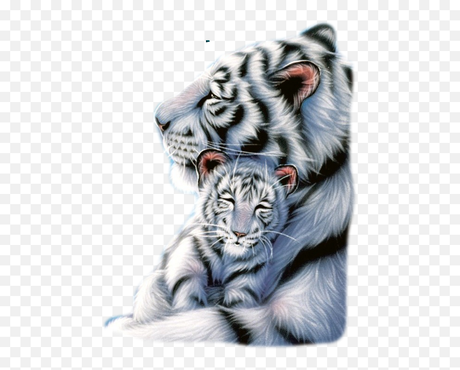 Pin - Ultra Hd Animal Wallpapers 4k Emoji,White Tiger Emoji