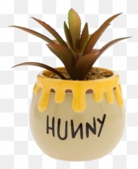 Popular And Trending Honeypot Stickers - Hunny Succulent Pot Emoji,Honeypot Emoji