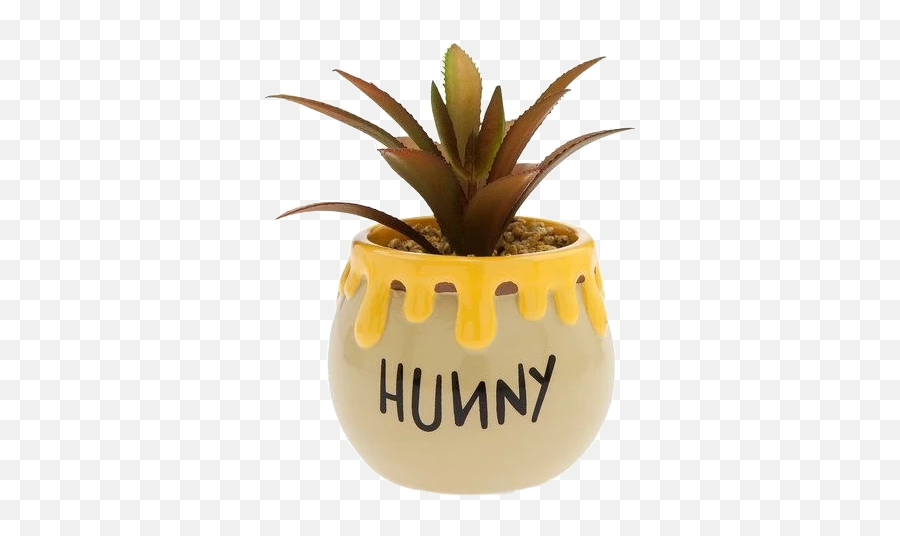 Popular And Trending Honeypot Stickers - Hunny Succulent Pot Emoji,Honeypot Emoji