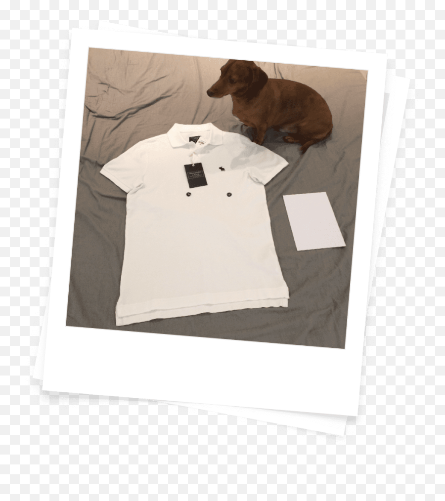 Clothie Ai Garment Measuring App U2014 Dan King - Dachshund Emoji,Dejected Emoji