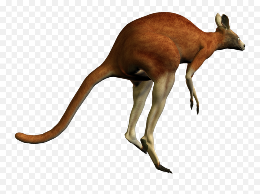 Kangaroo Png Images Free Download - Red Kangaroo Transparent Emoji,Kangaroo Emoji