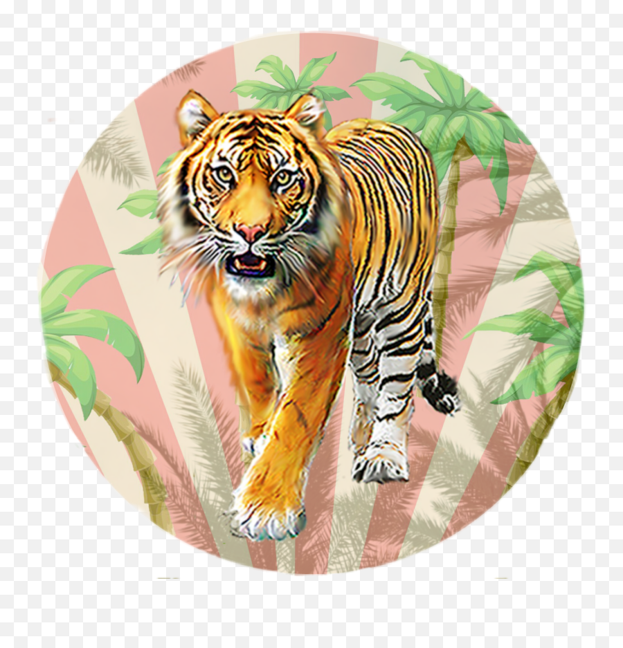 Tiger Art Sticker Hammock Hammocks - Tiger To Cat Evolution Emoji,Hammock Emoji