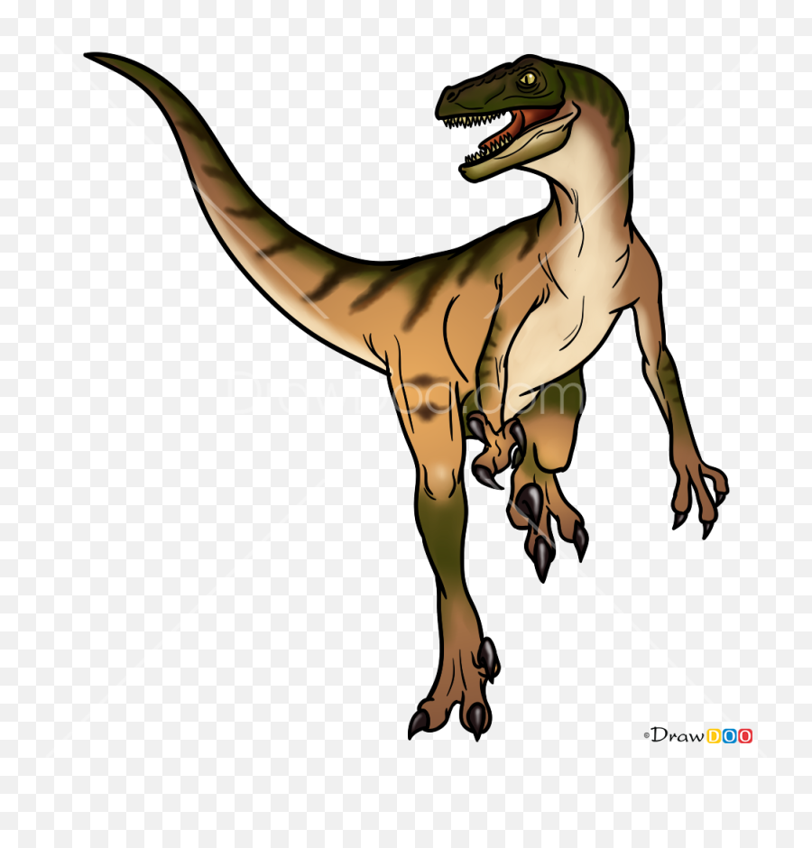How To Draw Velociraptor Jurassic Dinosaurs - Velociraptor Cartoon Emoji,Dinosaur Emoji Text